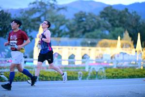 BIB: 
                            <button type="button" onclick="openModal(27826798)" class="btn btn-primary btn-sm float-right btn-popup" data-toggle="modal" data-target=".modal-high-quality">
                        <i class="fas fa-shopping-cart"></i> Add to Cart
                    </button>
                                            <button type="button" onclick="isThisMe(27826798, true)" class="btn btn-success btn-sm float-right btn-popup btn-isme hidden" data-toggle="tooltip" data-placement="bottom" title="นี่คือรูปของคุณใช่ไหม คลิกที่นี่เพื่อเอาเข้าอัลบั้ม">
                        <i class="fas fa-plus"></i> Add to album
                    </button>
                    <button type="button" onclick="isThisMe(27826798, false)" class="btn btn-warning btn-sm float-right btn-popup btn-isnotme hidden">
                        <i class="fas fa-ban"></i> Remove from album
                    </button>